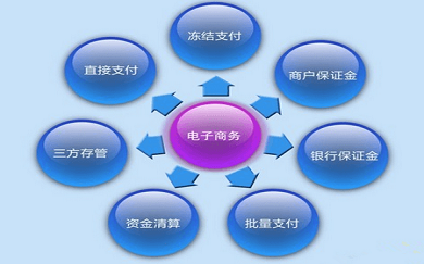電子商務(wù)，電子商務(wù)開發(fā)
